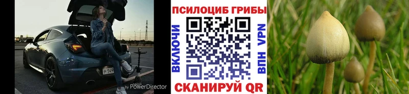 Псилоцибиновые грибы GOLDEN TEACHER  Асбест 